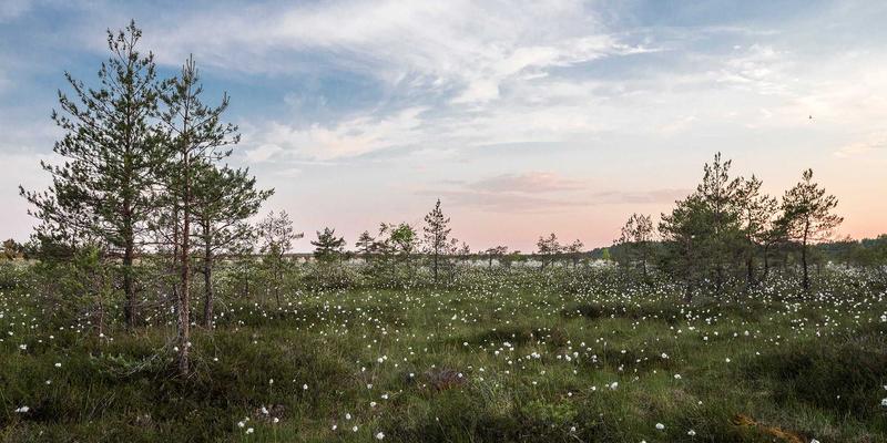 揭秘荆州金鑫机械深层渗碳工艺：如何用精密加工锻造工程机械的“钢铁之齿”？