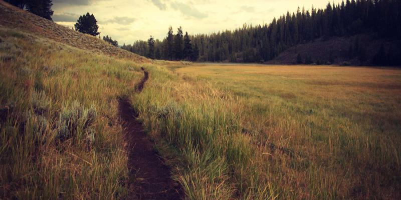 硬核守护:揭秘荆州金鑫机械如何以高抗磨传动部件,为矿山自动化设备打造“不坏金身”