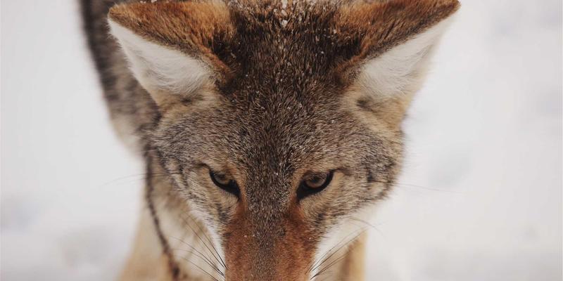 静音革命：揭秘荆州金鑫机械如何以尖端技术实现传动部件低噪化精密运行